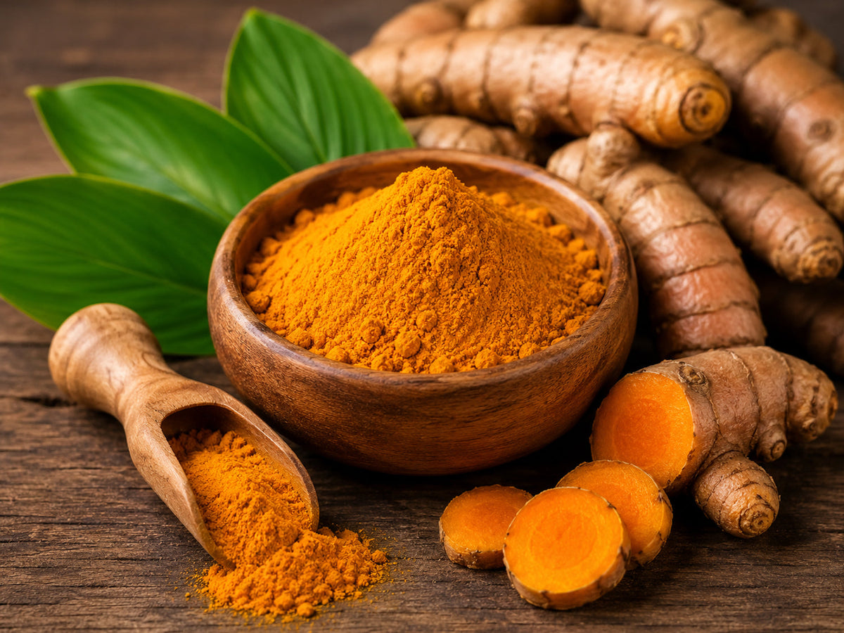 Curcuma Longa (Turmeric) Root Oil & Root Extract