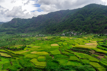 What Living In The Mountains Teaches Us JiViSa