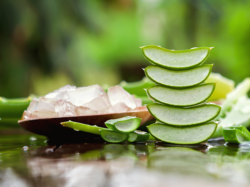 Top Skin Benefits of Aloe Vera You Didn't Know