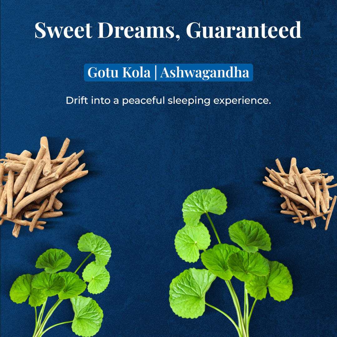 Image featuring JiViSa Slumber Blend ingredients like Gotu Kola Leaves and Ashwagandha sticks with a heading Sweet Dreams, Guaranteed.         Gotu Kola|Ashwagandha enclosed in a light blue rectangle is written below the heading. The image also highlights that the JiViSa-The Slumber Blend Herbal Tea help Drift into a peaceful sleeping experience.
