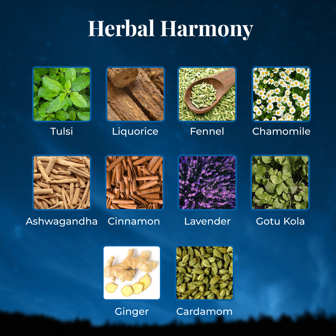Ingredients showcase for JiViSa- The Slumber Blend Herbal Tea with the tagline Herbal Harmony. A grid of Ingredients with names includes Tulsi, Liquorice, Fennel, Chamomile, Ashwagandha, Cinnamon, Lavender, Gotu Kola, Ginger and Cardamom.