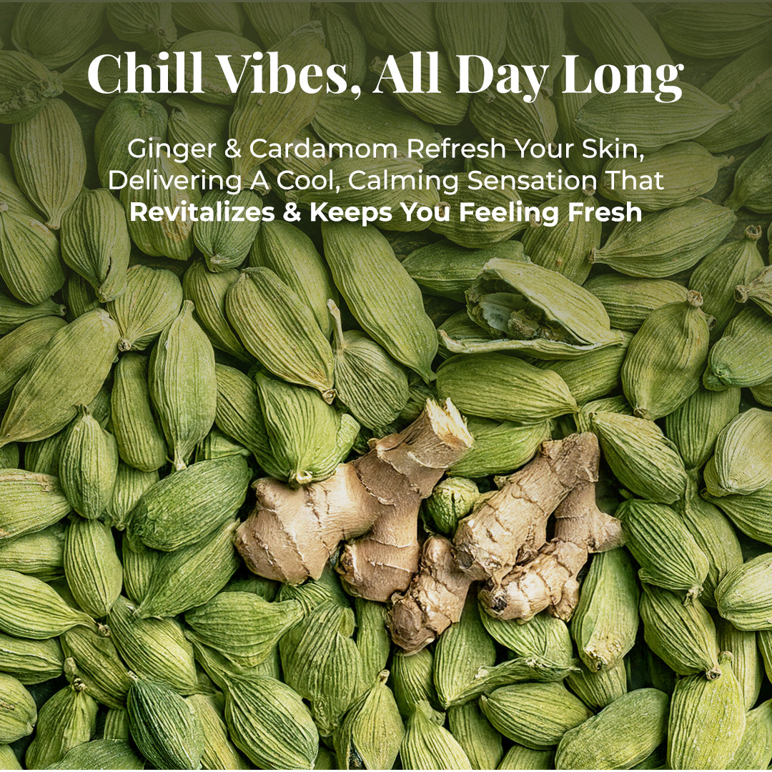 Close-up overhead view of green cardamom pods with two brown ginger roots placed on top. Tagline: Chill Vibes, All Day Long. Text describe, Ginger & Cardamom Refresh Your Skin, Delivering A Cool, Calming Sensation That Revitalizes & Keeps You Feeling Fresh.