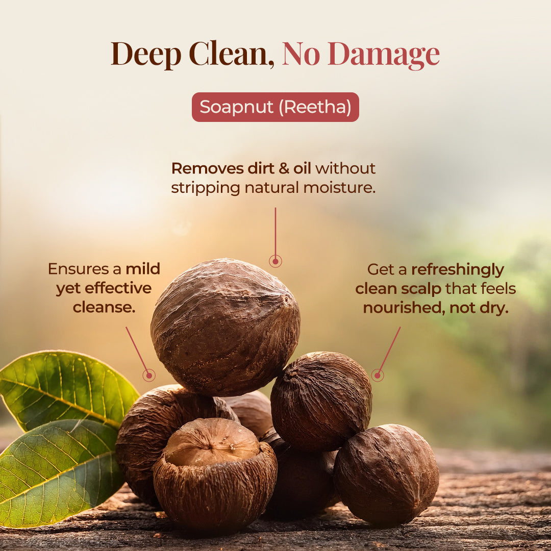 Several Soapnut (Reetha) are pictured on a wooden surface with green leaves. The Text highlighting "Deep Clean, No Damage" using Text bubbles point Soapnuts (Reetha), describing their benefits: Removes dirt & oil without stripping natural moisture, Ensures a mild yet effective cleanse, and helps to Get a refreshingly clean scalp that feels nourished, not dry. The focus is on a natural cleansing agent that is both effective and gentle.