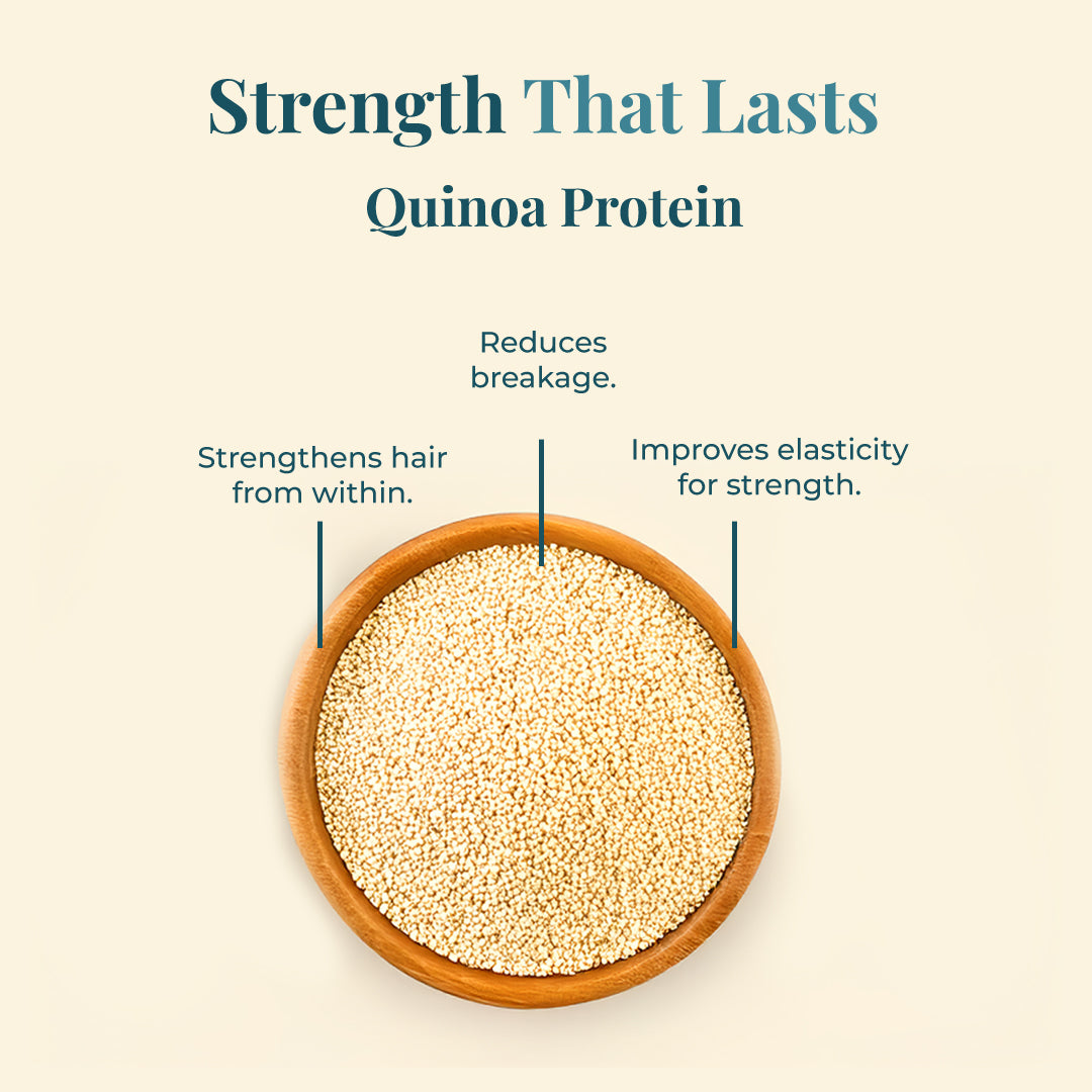 This image focuses on the benefits of Quinoa Protein for hair, highlighting Strength That Lasts. A wooden bowl filled with quinoa seeds is the central element. Textual annotations point out that quinoa protein-Strengthens hair from within, Reduces breakage, and Improves elasticity for strength.