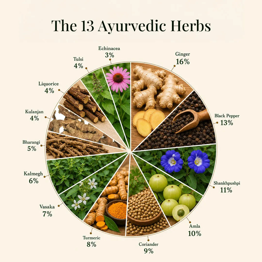 13 Ayurvedic herbs used in JiViSa Nectar of Life Kadha, including ginger, black pepper, Shankhpushpi, amla, coriander, turmeric, Vasaka, Kalmegh, Bharangi, Kulanajan, liquorice, tulsi and echinacea.