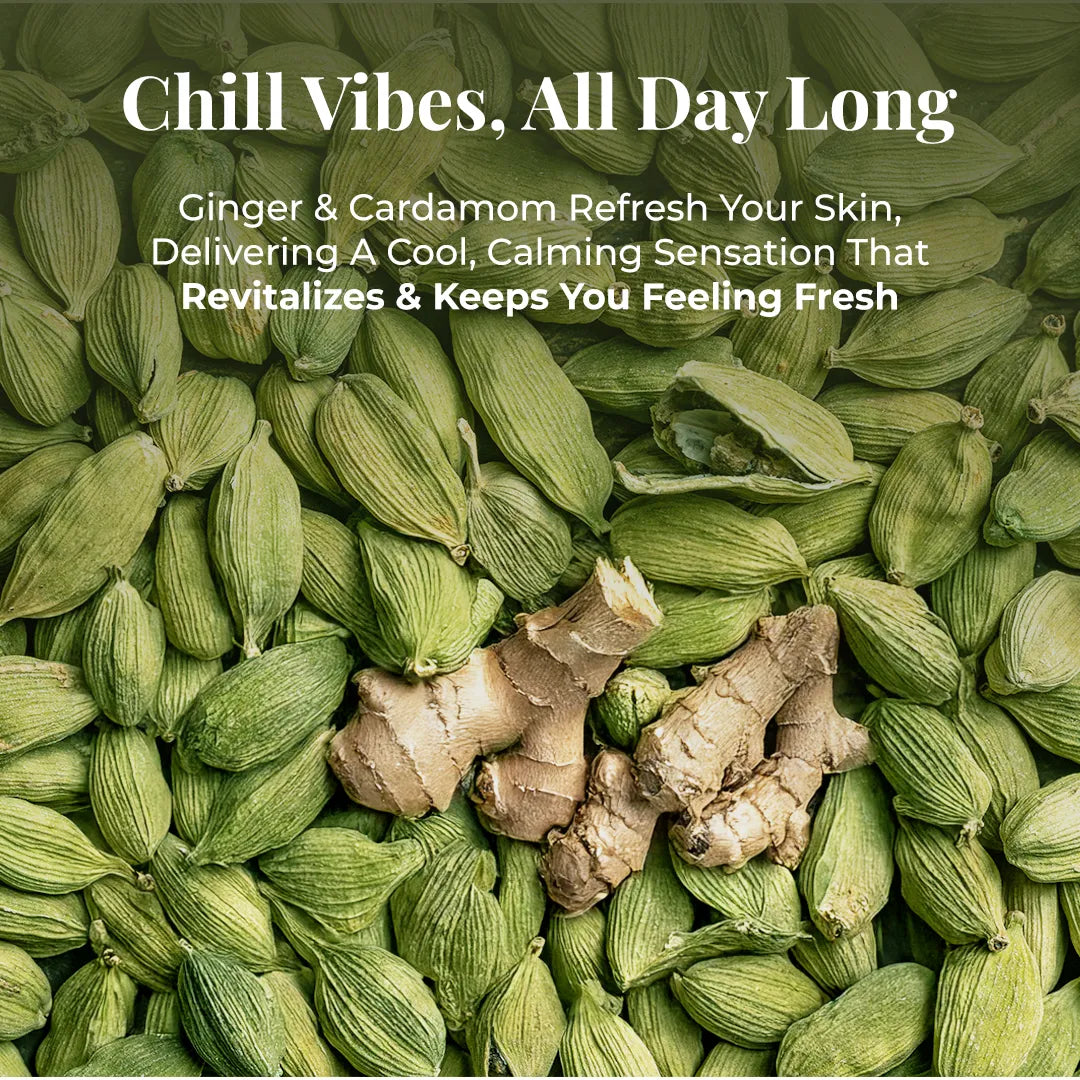 Cardamom pods and ginger root representing the cooling, refreshing ingredients in JiViSa Seven Spice soap