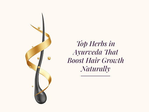 Herbs in Ayurveda