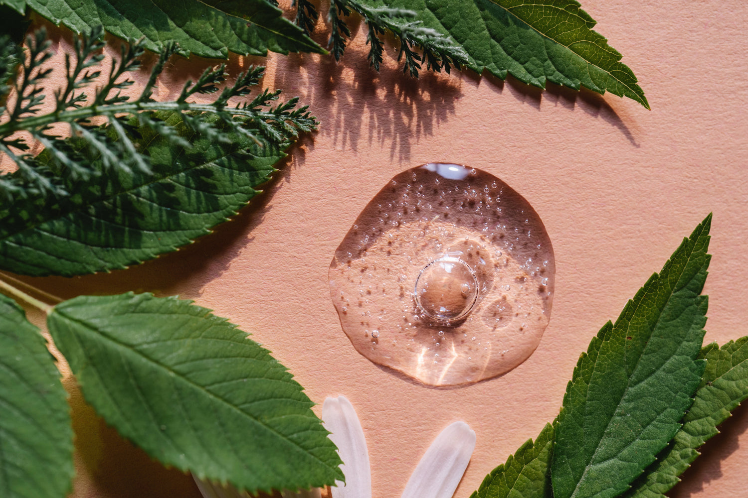 Clean Label: From What You Eat to What You Apply - Why JiViSa’s EU-Compliant Skincare Is Real Clean