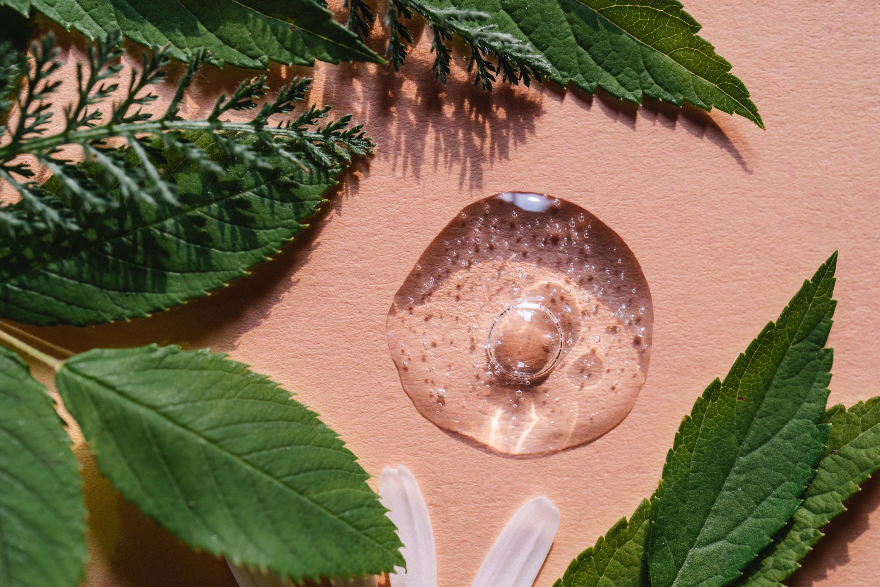 Clean Label: From What You Eat to What You Apply - Why JiViSa’s EU-Compliant Skincare Is Real Clean