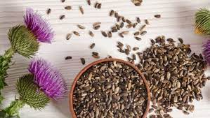 How does JiViSa’s Mountain Blend help in Digestion?