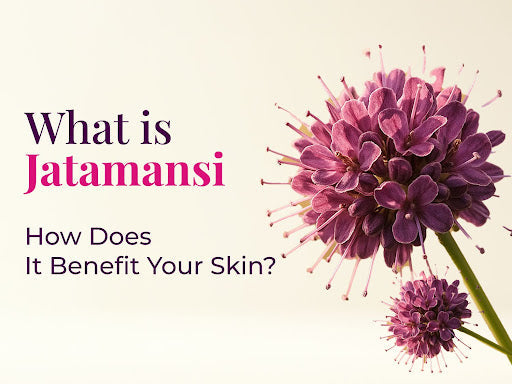 What is Jatamansi