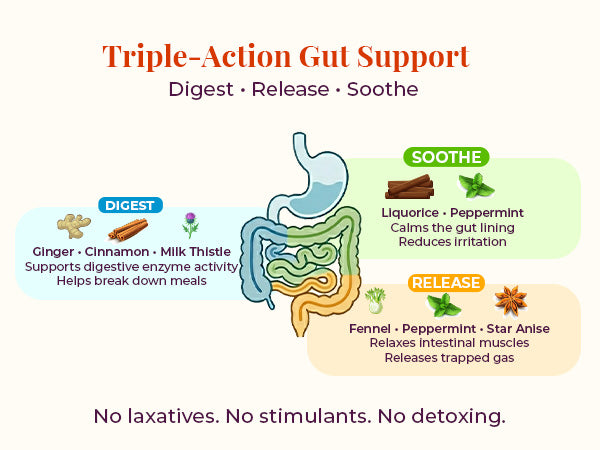 Triple-action gut support infographic for JiViSa Mountain Blend herbal tea showing digestive benefits of ginger, cinnamon, milk thistle, fennel, peppermint, star anise, and licorice for digestion, bloating relief, and soothing the gut lining.
