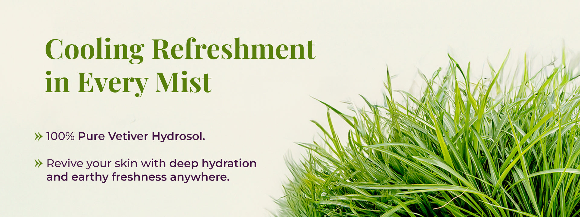 Vetiver grass with text about cooling refreshment and deep hydration.