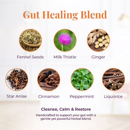 An ingredient showcases for JiViSa-The Mountain Blend with the tagline: Subheading: Gut healing Blend. A grid of ingredients with names includes: Fennel seeds, Milk Thistle, Ginger, Star anise, Cinnamon, Peppermints and Liquorice. Bottom Text reads Cleanse, Calm &amp; Restore, handcrafted to support your gut with a gente yet powerful herbal blend.