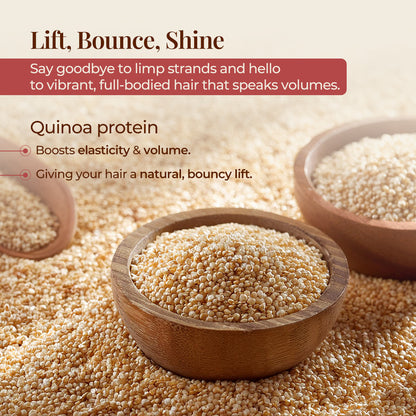 The image features several wooden bowls filled with quinoa seeds, set against a background of loose quinoa seeds with the tagline &quot;Lift, Bounce, Shine&quot; and the description Say goodbye to limp strands and hello to vibrant, full-bodied hair that speaks volumes. It highlights Quinoa protein and its benefits, stating that it Boosts elasticity &amp; volume and is Giving your hair a natural, bouncy lift. 