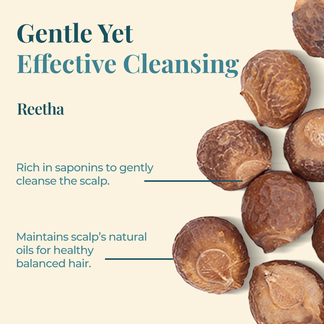 The image focuses on "Gentle Yet Effective Cleansing" using Reetha. Several Reetha fruits are pictured against a light background. Text highlights that Reetha is Rich in saponins to gently cleanse the scalp and Maintains scalp's natural oils for healthy balanced hair.