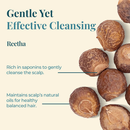 The image focuses on &quot;Gentle Yet Effective Cleansing&quot; using Reetha. Several Reetha fruits are pictured against a light background. Text highlights that Reetha is Rich in saponins to gently cleanse the scalp and Maintains scalp&
