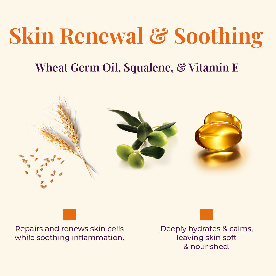 Ingredients for Skin Renewal &amp; Soothing of JiViSa Tarang Glaze Butter Milk. From left to right: a stalk of wheat with scattered grains representing Wheat Germ Oil, a sprig of green olives and leaves representing Squalene, and two golden capsules representing Vitamin E. Text describes benefits: Repairs and renews skin cells while soothing inflammation and Deeply hydrates &amp; calms, leaving skin soft &amp; nourished.