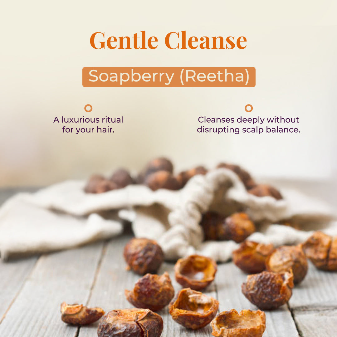 The tagline reads &quot;Gentle Cleanse&quot; using Soapberry (Reetha). The text describes it as A luxurious ritual for your hair that Cleanses deeply without disrupting scalp balance. The image features several Reetha fruits, scattered on a light wooden surface with a soft, textured cloth in the background. 