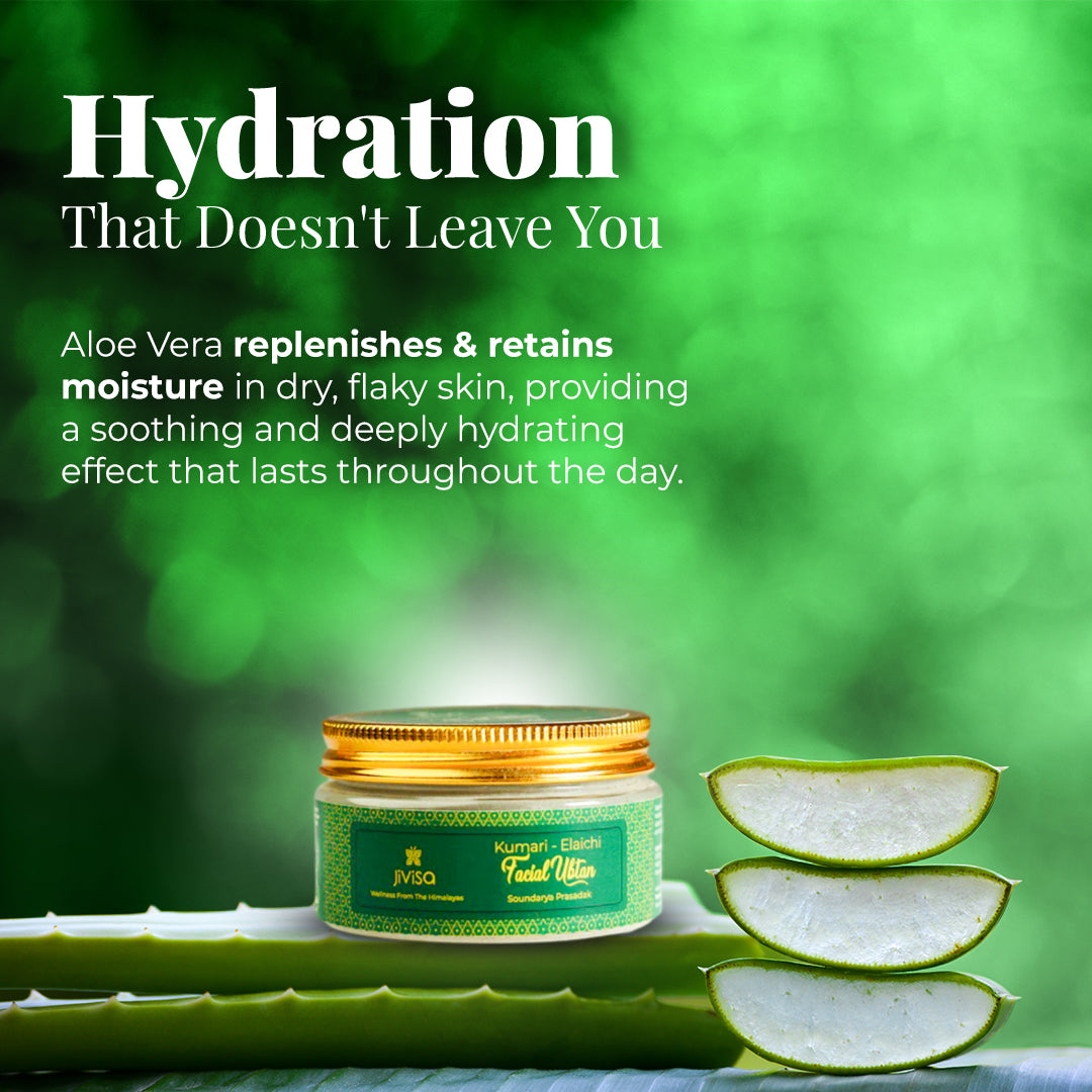 A close-up shot on a green background showcases a jar of JiViSa- Kumari Elaichi Facial Ubtan. To the right, three slices of aloe vera are neatly stacked, revealing their hydrating gel. A whole aloe vera stalk rests below them. The image&