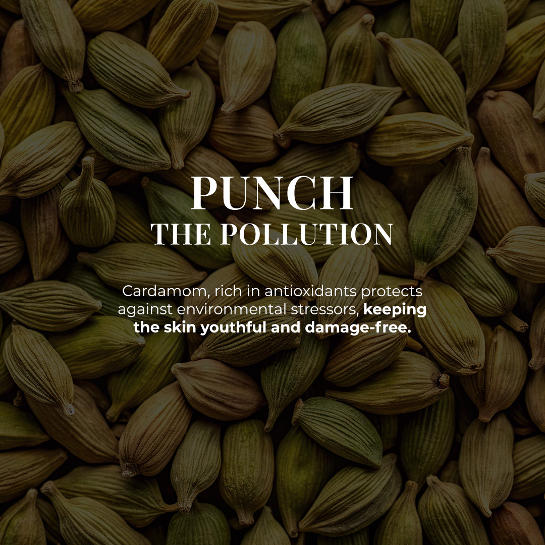 The image is a close-up shot of many cardamom pods. The text on the image says, &quot;PUNCH THE POLLUTION.&quot; Below it, it states, Cardamom, rich in antioxidants, protects against environmental stressors, keeping the skin youthful and damage-free.