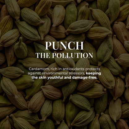 The image is a close-up shot of many cardamom pods. The text on the image says, &quot;PUNCH THE POLLUTION.&quot; Below it, it states, Cardamom, rich in antioxidants, protects against environmental stressors, keeping the skin youthful and damage-free.