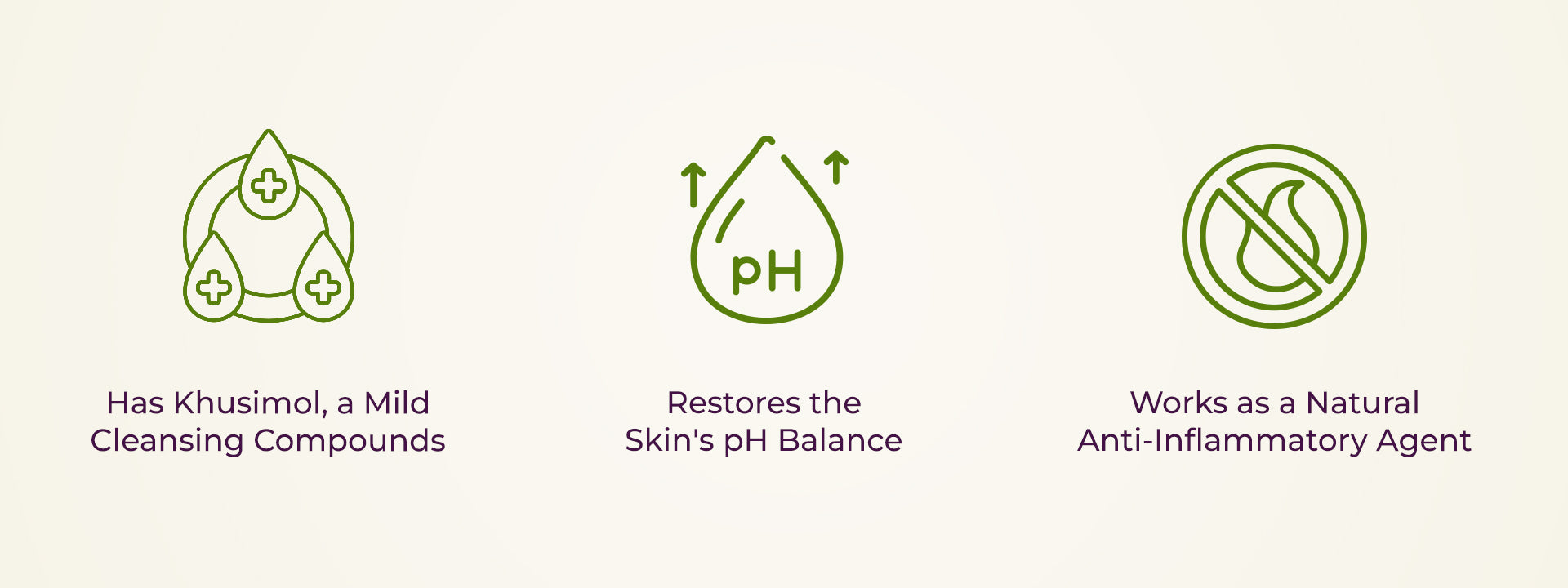 Icons showing mild cleansing compounds, pH balance restoration, and anti-inflammatory benefits.