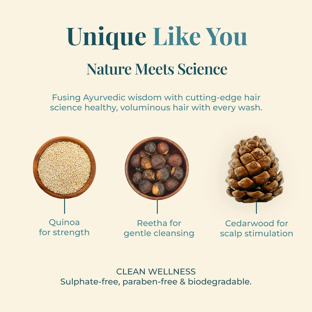 Infographic showing quinoa, reetha, and cedarwood ingredients used in JiViSa Aranya Boost Hair Cleanser for strength, gentle cleansing, and scalp stimulation.