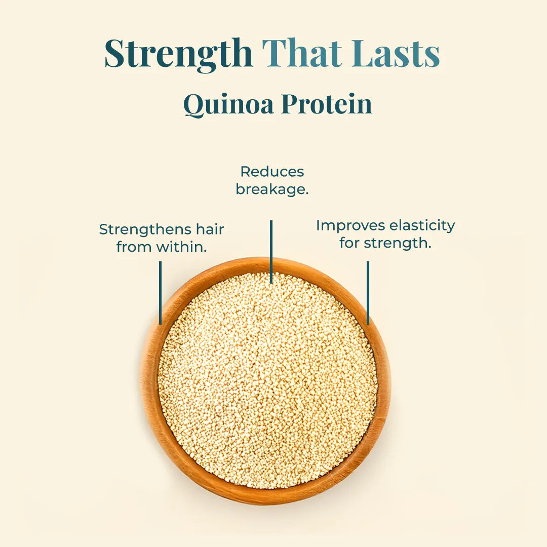 Close-up of quinoa grains illustrating strengthening and elasticity benefits in JiViSa Aranya Boost Hair Cleanser.