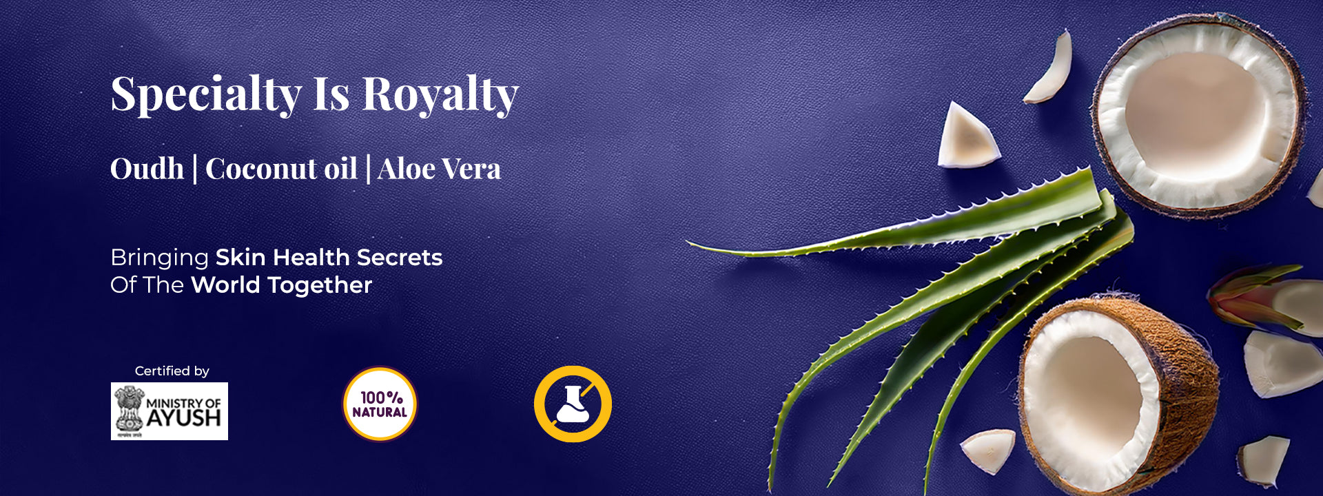 Tagline reads: “Specialty Is Royalty”, followed by the ingredient names: Oudh | Coconut oil | Aloe Vera. Subheading states: 'Bringing Skin Health Secrets of the World Together.' At the bottom, three certification icons are displayed: Ministry of AYUSH, 100% Natural, and a Herbal Science symbol. On the right side of the image, visual elements include fresh aloe vera leaves and cracked coconut shells, representing the key ingredients of JiViSa Arabic Oudh Handmade Ayurvedic Soap.