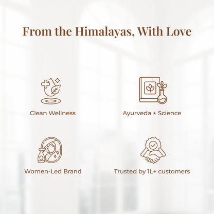 Graphic with icons and text about JiViSa&