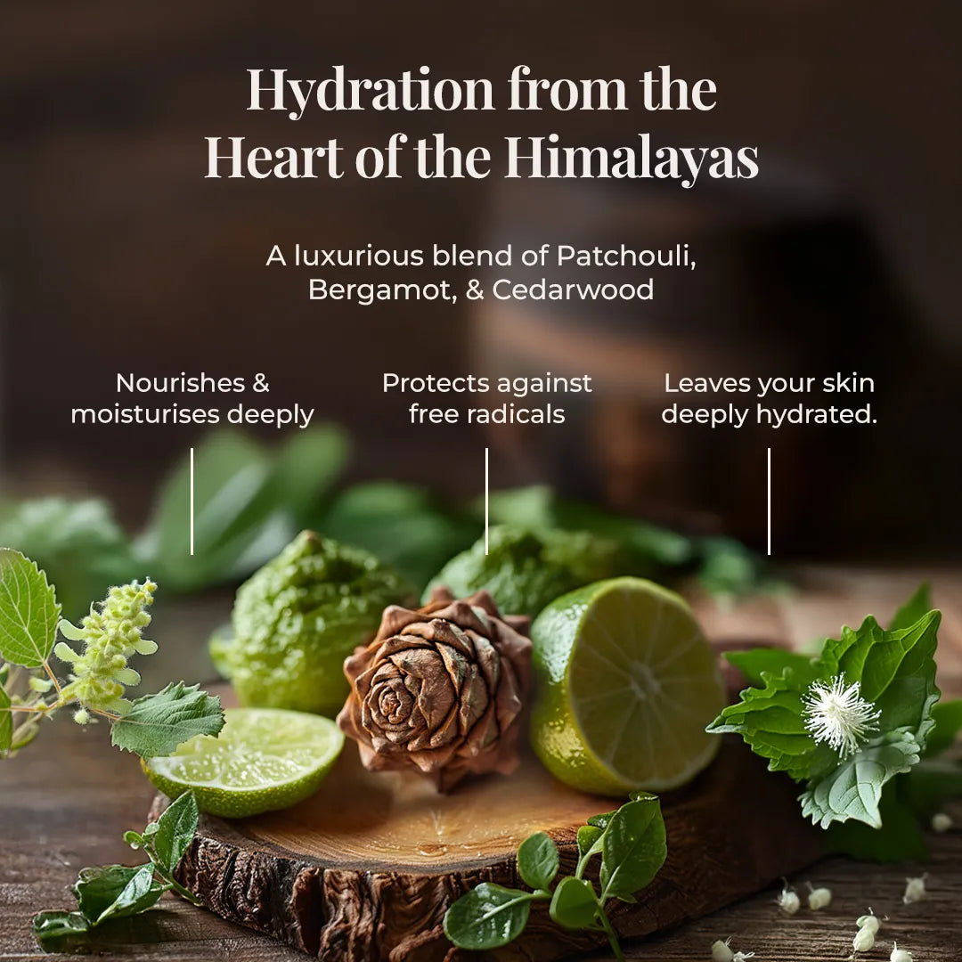 Various natural ingredients of JiViSa Aranya Glaze Buttery Body Milk are artfully arranged on a dark wooden surface, including halves of Bergamot, a Cedarwood, and Patchouli leaves. The title reads "Hydration from the Heart of the Himalayas," followed by text describing the product as A luxurious blend of Patchouli, Bergamot, &amp; Cedarwood. Three vertical lines point to benefits: Nourishes &amp; moisturises deeply, protects against free radicals, and leaves your skin deeply hydrated.