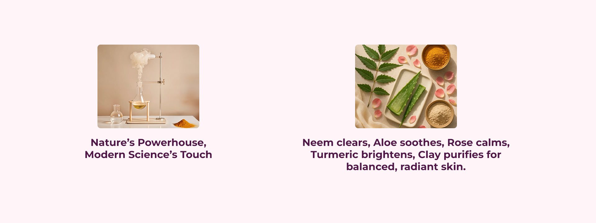Neem leaves, aloe vera, rose petals, turmeric, and clay with text Nature’s Powerhouse, Modern Science’s Touch and ingredient benefit descriptions.