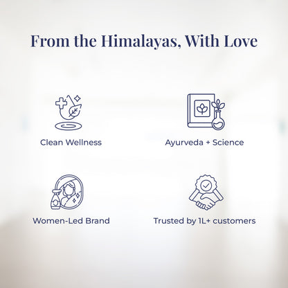 Graphic with icons and text about JiViSa&