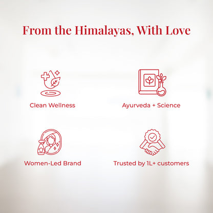 Graphic with icons and text about JiViSa&