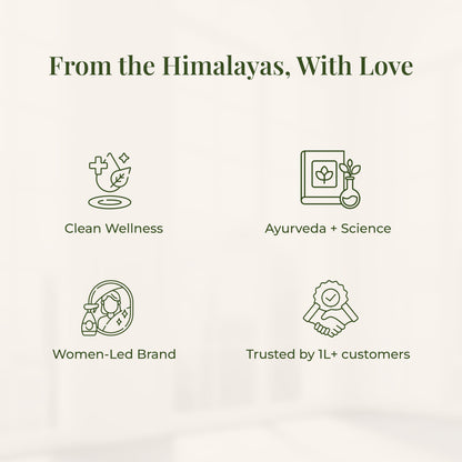 Graphic with icons and text about JiViSa&