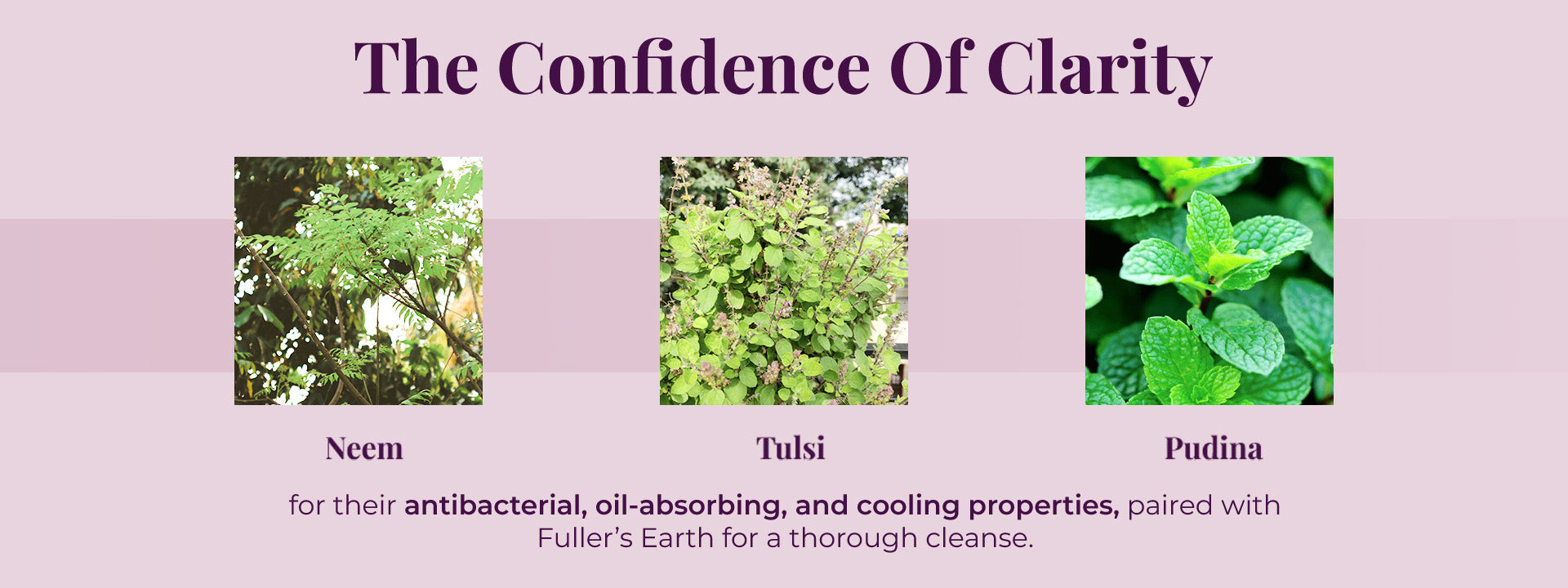Neem, Tulsi, and mint leaves shown with text about antibacterial, oil-absorbing, and cooling properties.
