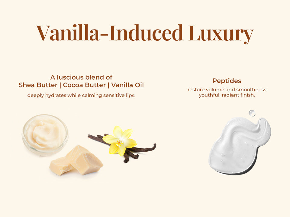 Ingredient layout showing shea butter, cocoa butter, vanilla oil and peptide gel used in Bourbon Vanilla Peptide Lip Pop lip balm.