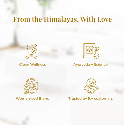 Graphic with icons and text about JiViSa&