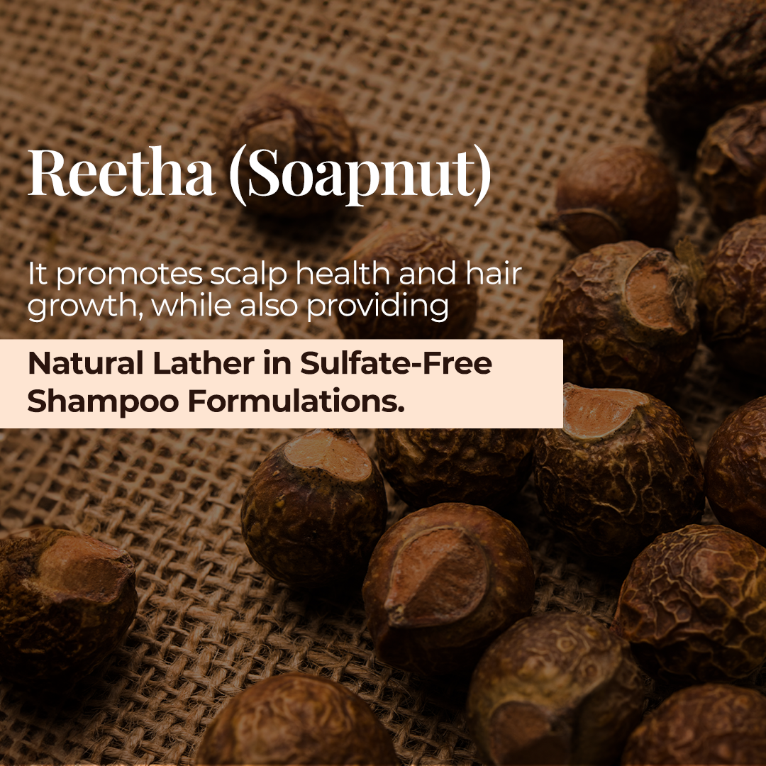 The image features a close-up of reetha (soapnut) fruits with text reading "Reetha (Soapnut): It promotes scalp health and hair growth, while also providing Natural Lather in Sulfate-Free Shampoo Formulations."