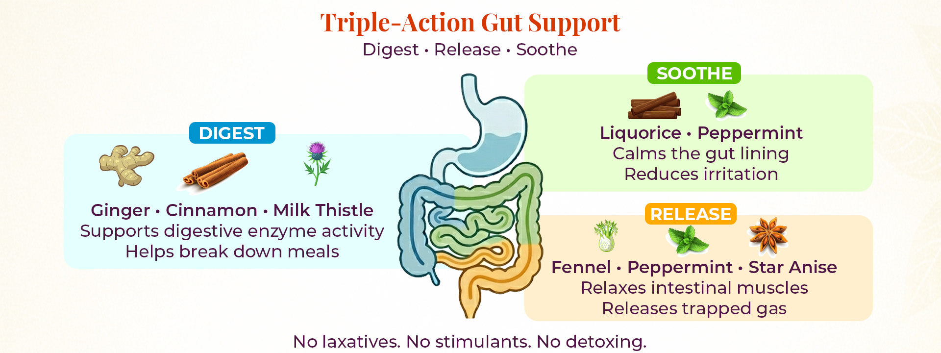 Triple-action gut support infographic for JiViSa Mountain Blend herbal tea showing digestive benefits of ginger, cinnamon, milk thistle, fennel, peppermint, star anise, and licorice for digestion, bloating relief, and soothing the gut lining.