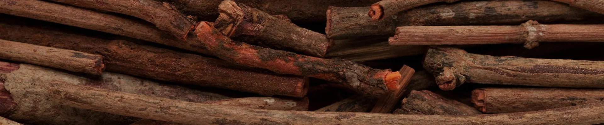 Close-up of dried cinnamon bark sticks stacked together, representing a warm spice-based fragrance or ingredient collection.