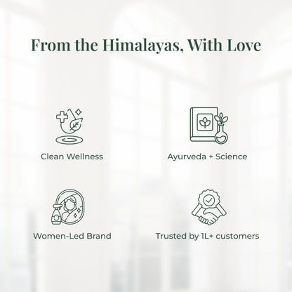 Graphic with icons and text about JiViSa&