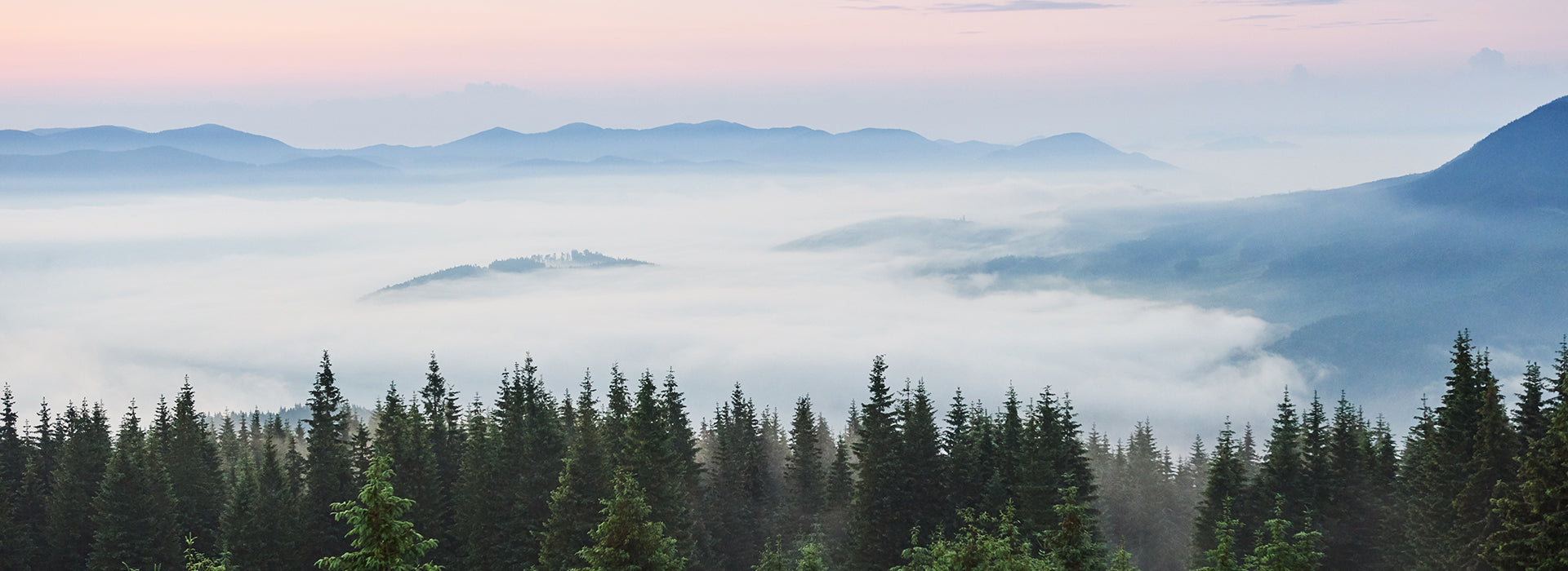 Misty Himalayan mountains and pine forests at sunrise symbolizing JiViSa’s origin rooted in nature and Ayurveda. Inspired by the purity and healing power of the Himalayas, JiViSa creates clean wellness products, herbal teas, and skincare rituals that promote holistic health and mindful living.