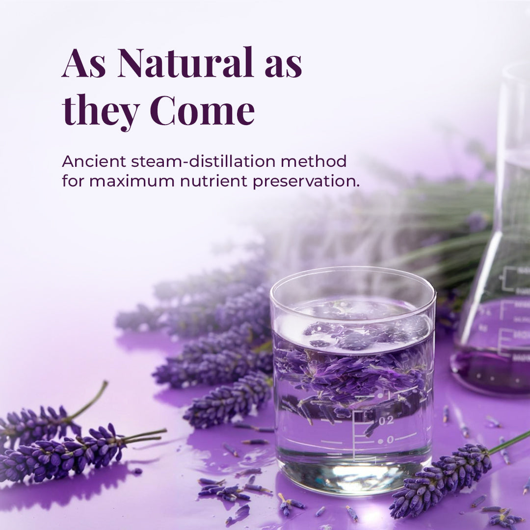 A steaming glass beaker filled with lavender-infused water sits on a glossy purple surface, surrounded by fresh lavender flowers. Steam visibly rises from the beaker, symbolizing the ancient steam-distillation process used to extract lavender hydrosol. A background flask and lavender bouquet enhance the natural and scientific theme. Text on the image reads: 'As Natural as they Come – Ancient steam-distillation method for maximum nutrient preservation.