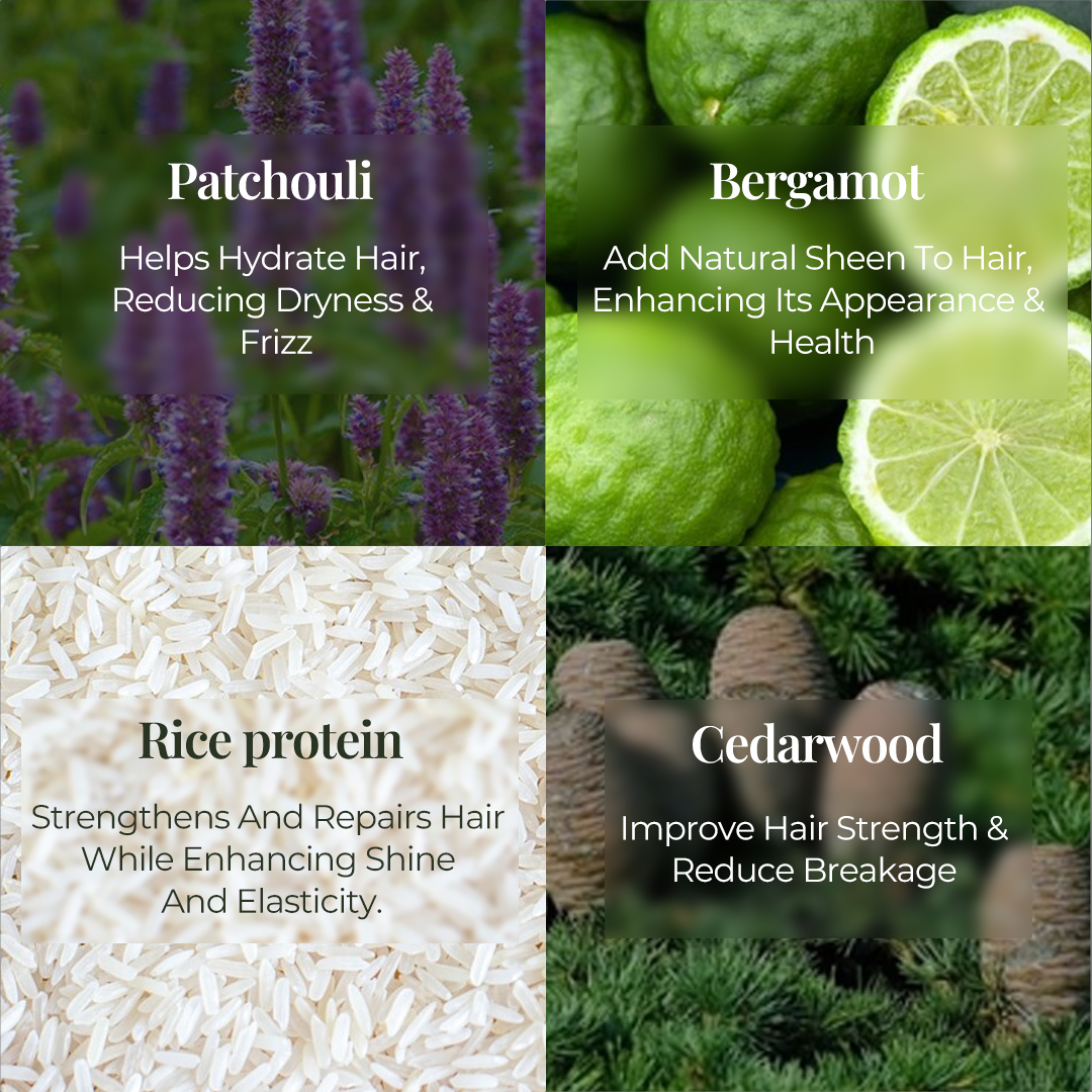 Close up images of key ingredients and described as in First left column Patchouli described as: Helps hydrate hair, reducing dryness & frizz. In second right column Bergamot described as : Add natural sheen to hair. enhancing its appearance & health. In Third Left Column Rice Protein described as Strengthens and repairs hair while enhancing shine and elasticity. Fourth Right Column Cedarwood described as Improve hair strength & Reduce Breakage.