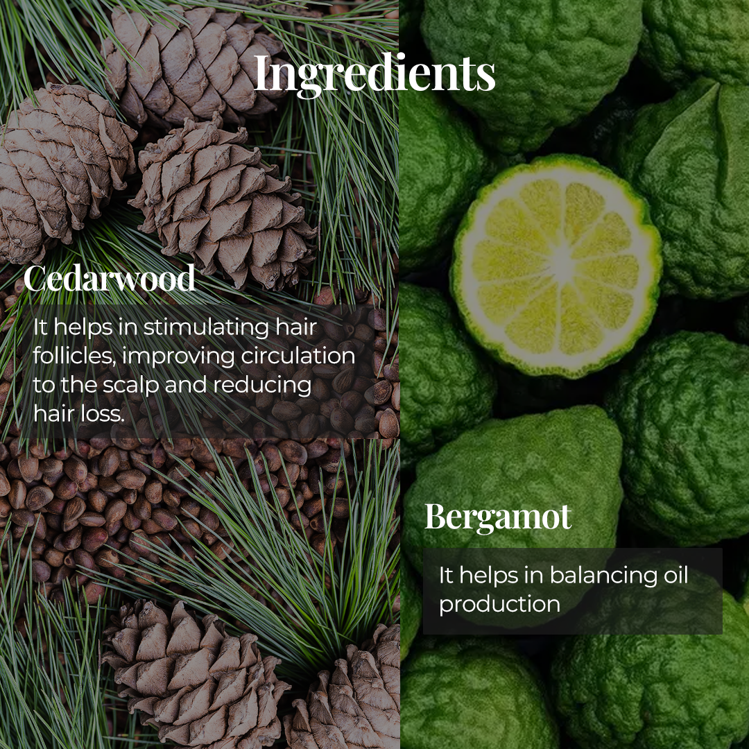 JiViSa Aranya Boost Hair Cleanser ingredients: Cedarwood and Bergamot. Image on the left shows cedarwood pine cones and needles with text: 'Cedarwood helps in stimulating hair follicles, improving circulation to the scalp, and reducing hair loss'. Image on the right shows bergamot fruits with text: 'Bergamot helps in balancing oil production'