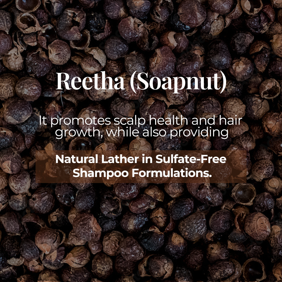 Close-up of Reetha (Soapnut) berries with text overlay: 'Reetha (Soapnut) promotes scalp health and hair growth while providing natural lather in sulfate-free shampoo formulations'. Highlighting the natural cleansing properties in JiViSa Aranya Boost Hair Cleanser.