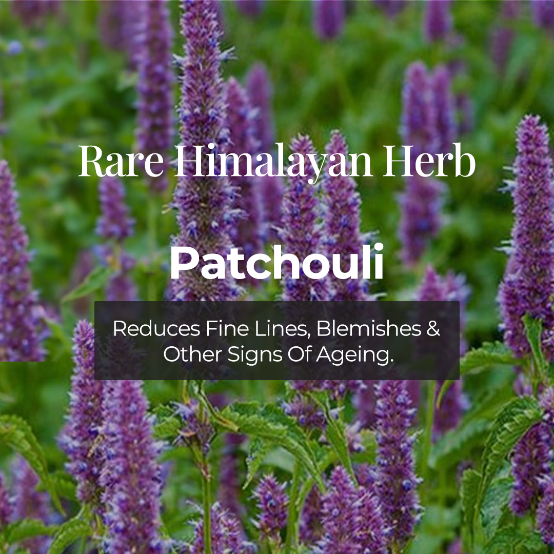 a close up image of patchouli flowers and the text higlighted  Rare himalayan herb "Patchouli" and described as Reduces Fine Lines, Blemishes & Other Signs of ageing