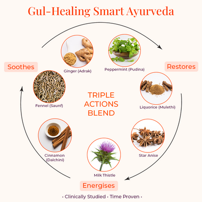 Seven Ayurvedic digestive herb blend ingredients ginger, peppermint, fennel, cinnamon, licorice, star anise and milk thistle for gut health.